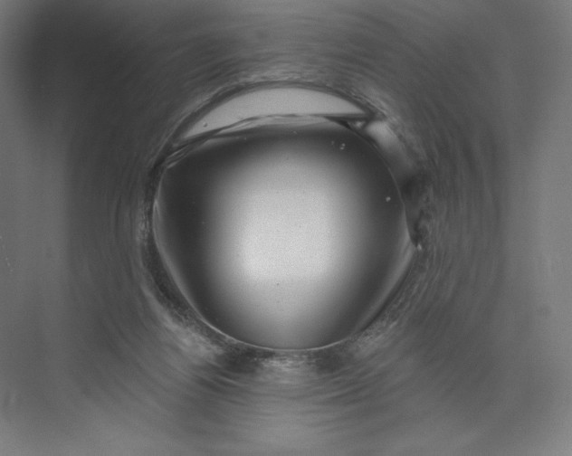 X0000074010164200609061059