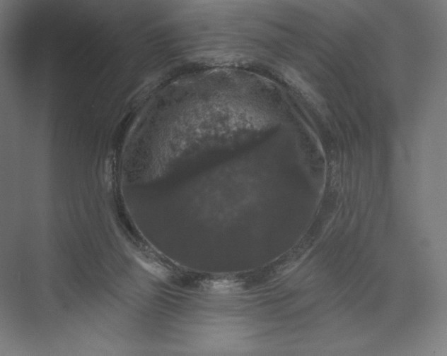 X0000074010165200609061059