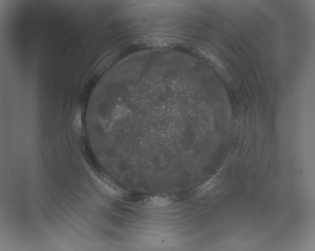 X0000074010166200609061059