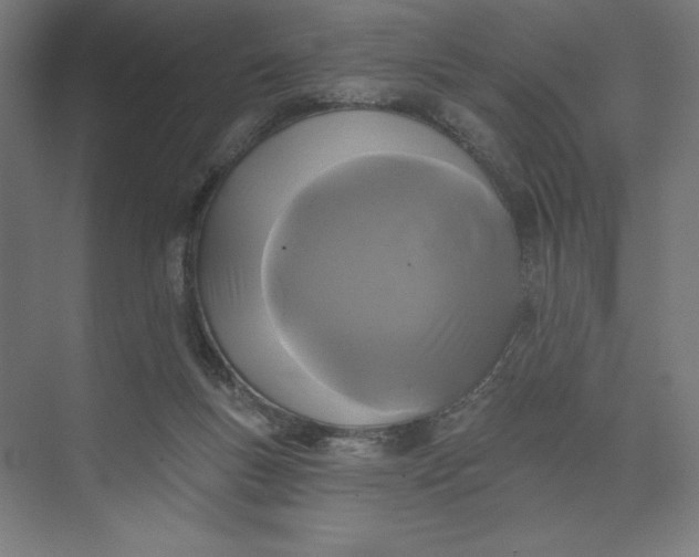 X0000074010167200609061059