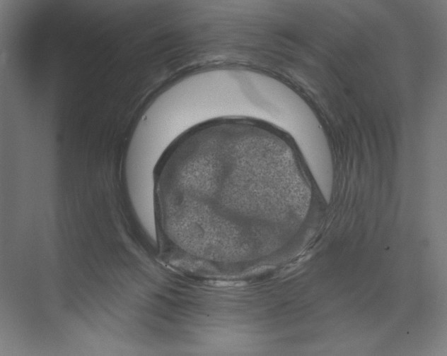 X0000074010168200609061059