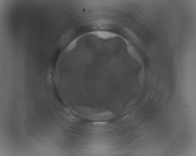 X0000074010169200609061059