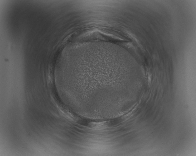 X0000074010170200609061059