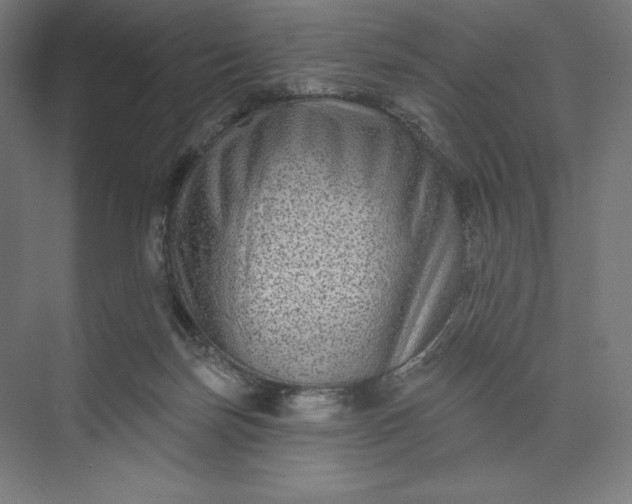 X0000074010171200609061059