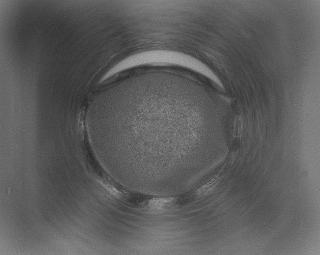 X0000074010172200609061059