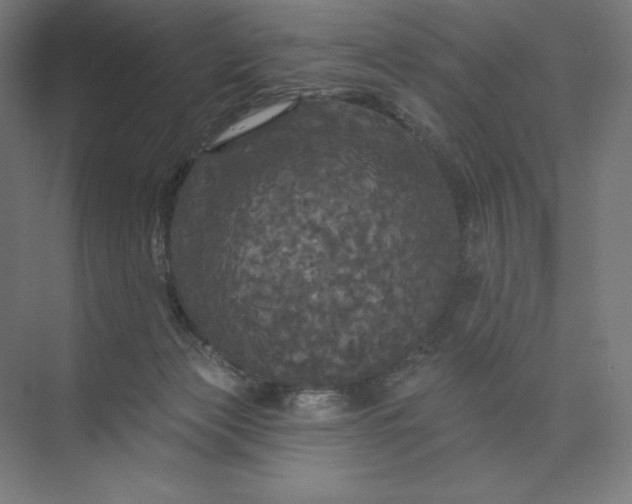 X0000074010173200609061059