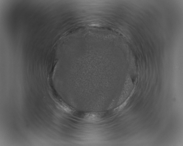 X0000074010174200609061059