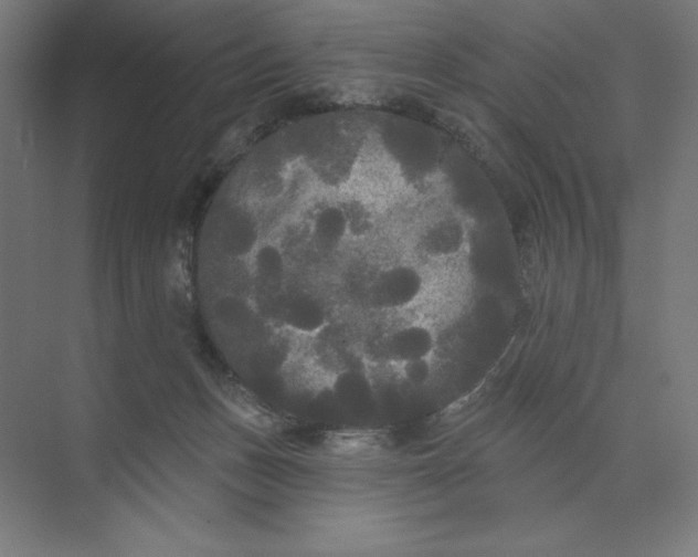 X0000074010175200609061059