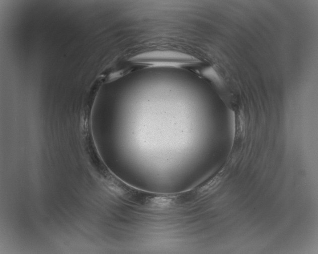 X0000074010176200609061059