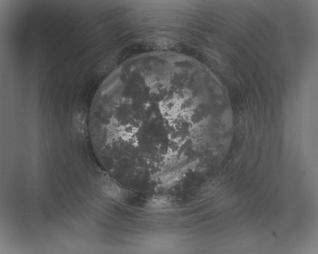 X0000074010177200609061059