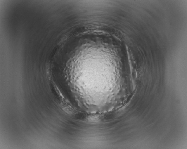 X0000074010178200609061059