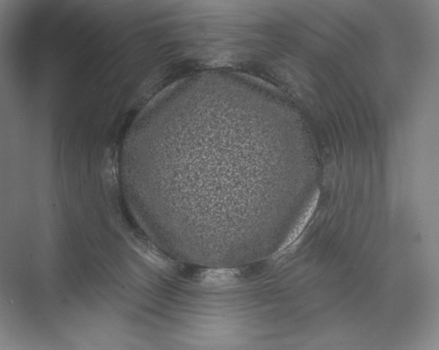 X0000074010179200609061059