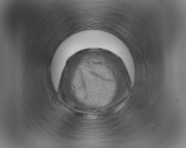 X0000074010180200609061059