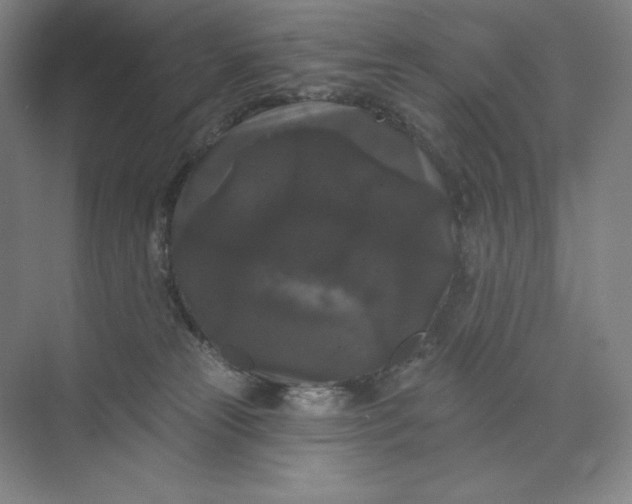 X0000074010181200609061059