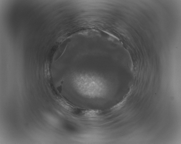 X0000074010182200609061059