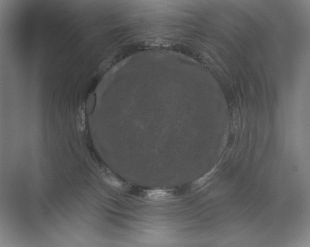 X0000074010183200609061059