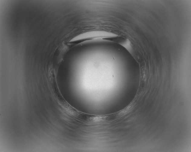 X0000074010184200609061059