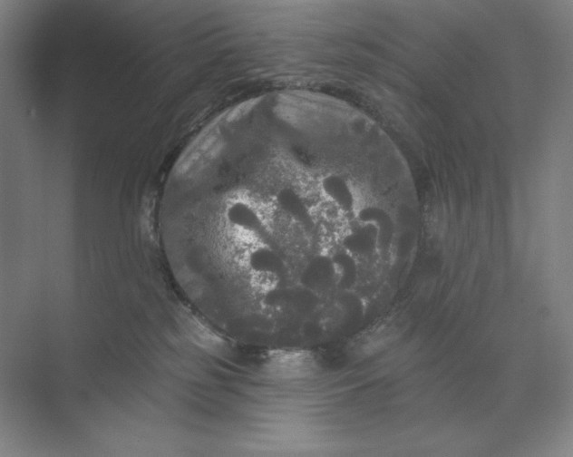 X0000074010185200609061059