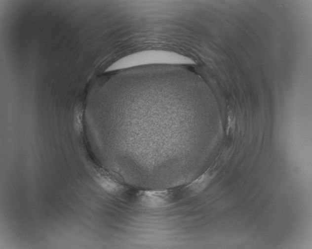 X0000074010188200609061059