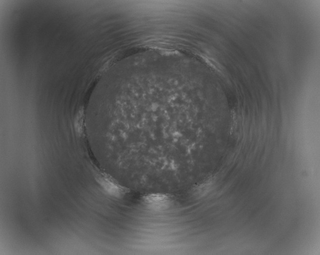 X0000074010189200609061059