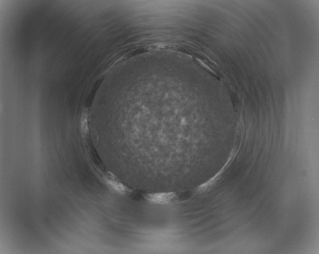 X0000074010191200609061059