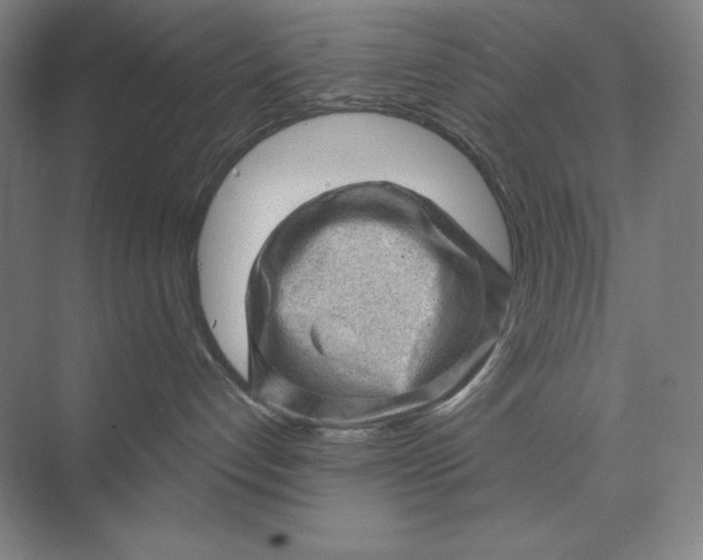 X0000074010192200609061059