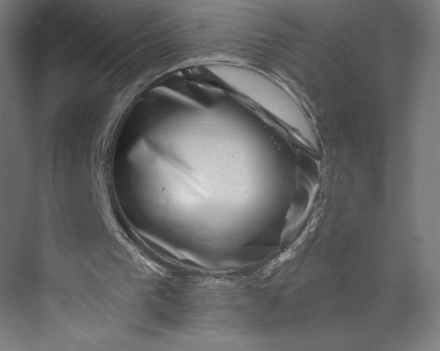 X0000074010193200609061058