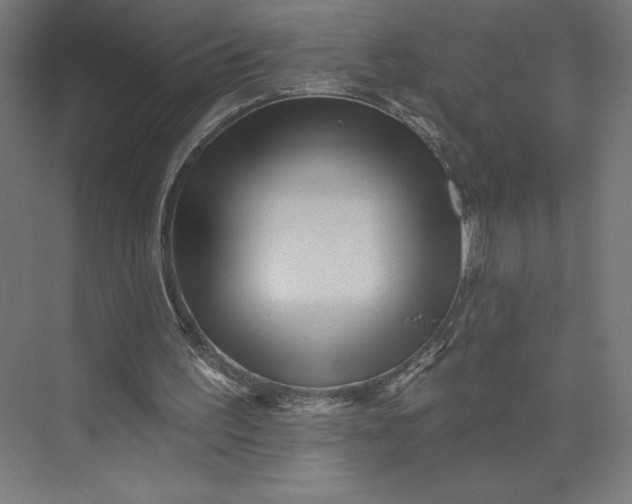 X0000074010195200609061058