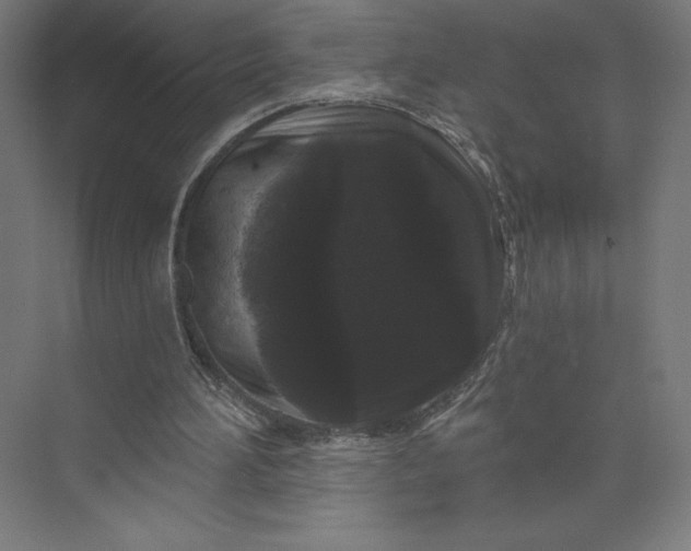 X0000074010196200609061058