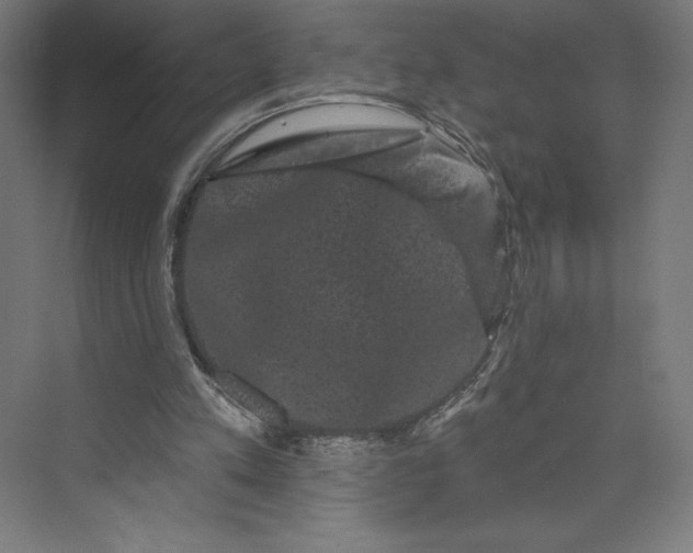 X0000074010197200609061058