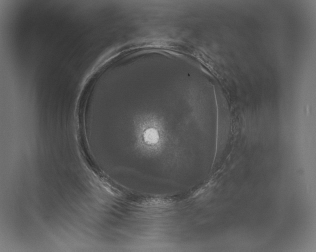 X0000074010198200609061058