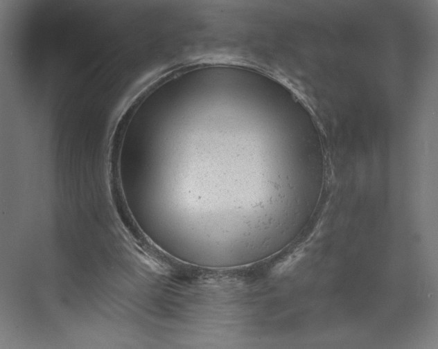 X0000074010199200609061058