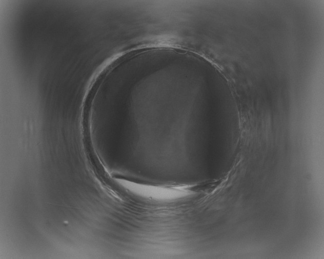 X0000074010200200609061058