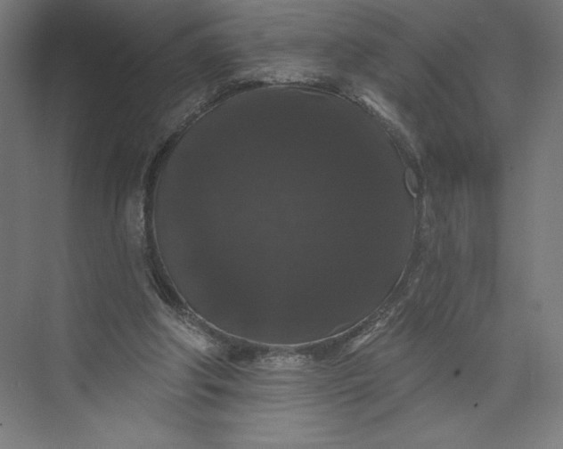 X0000074010202200609061058