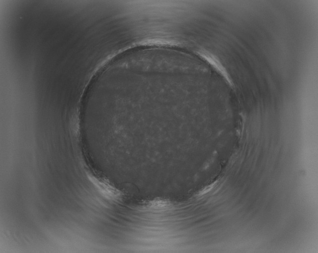 X0000074010204200609061058