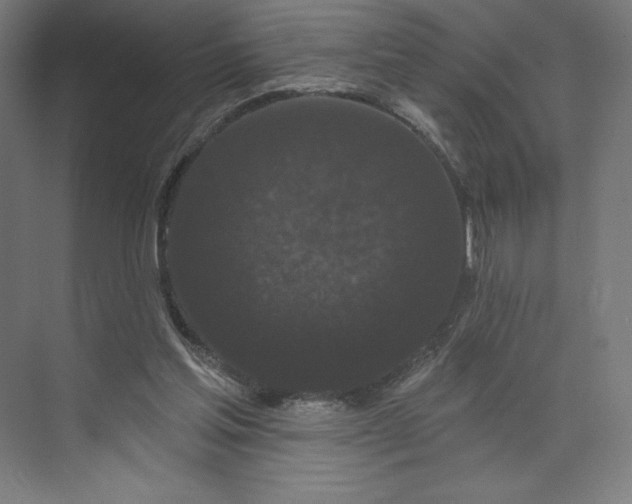 X0000074010205200609061058