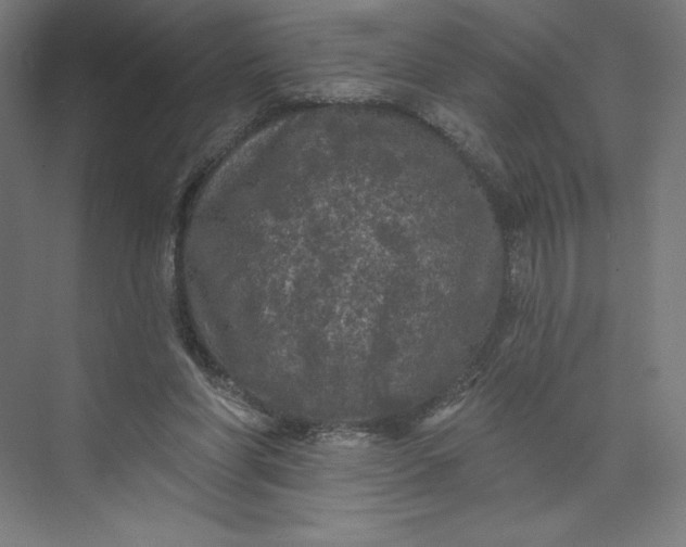 X0000074010206200609061058