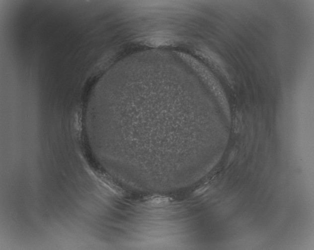 X0000074010210200609061058