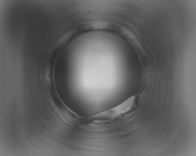 X0000074010212200609061058