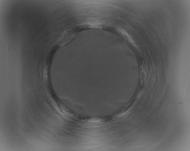 X0000074010213200609061058