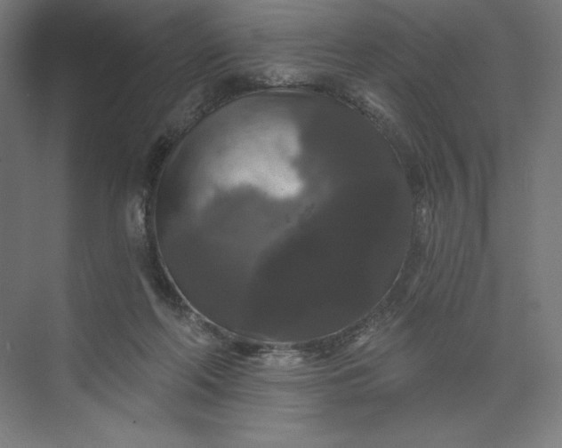 X0000074010214200609061058