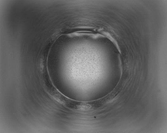 X0000074010215200609061058