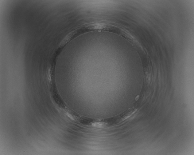 X0000074010216200609061058