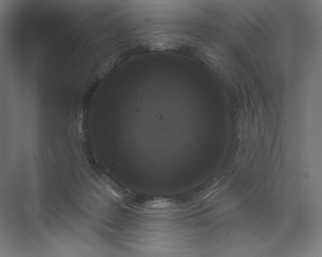 X0000074010219200609061058