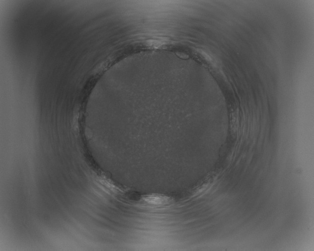 X0000074010221200609061058