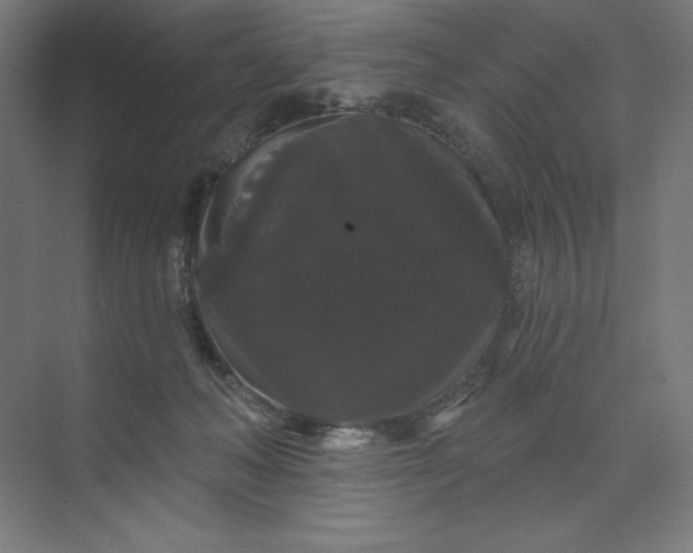 X0000074010222200609061058