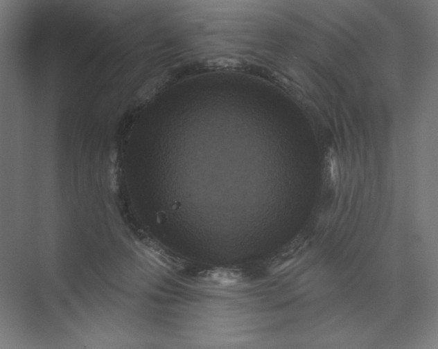 X0000074010223200609061058