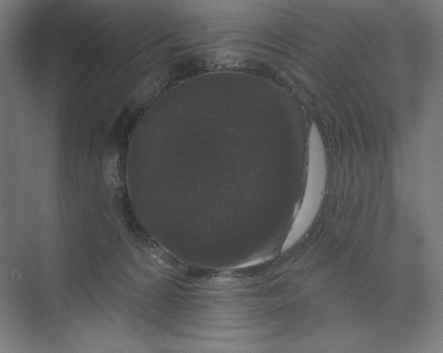 X0000074010224200609061058