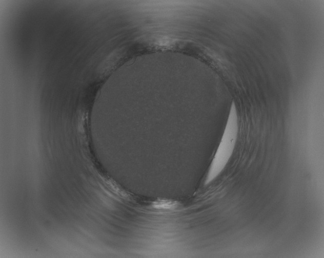 X0000074010225200609061058