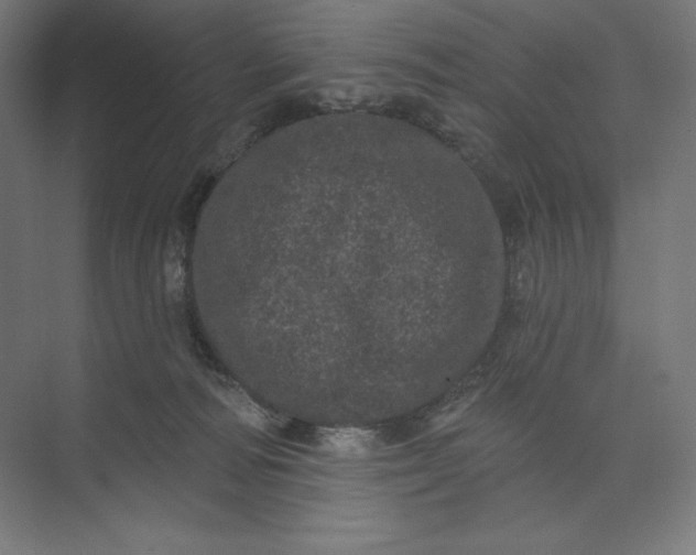 X0000074010226200609061058